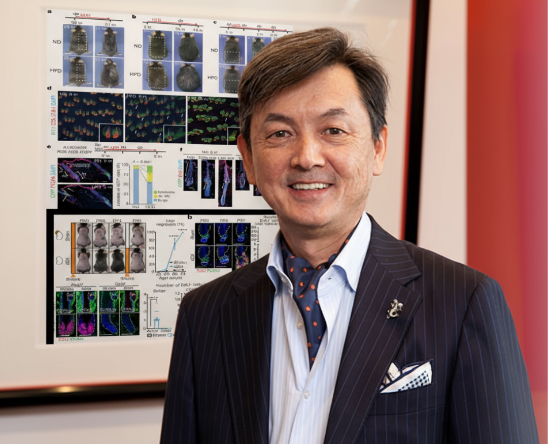 Imagem principal do artigo